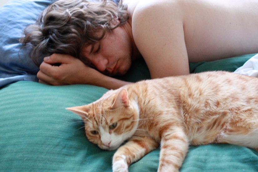 nap time for the boys